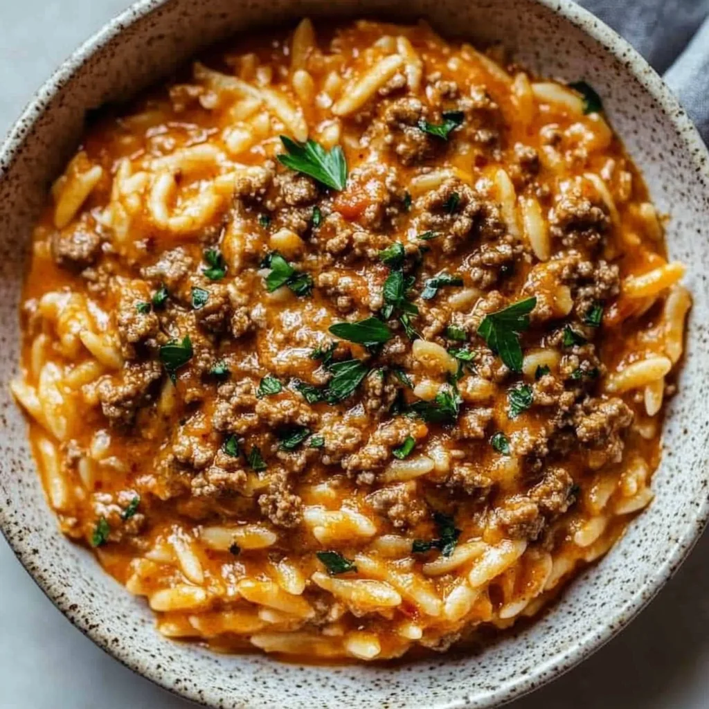 Ground Beef Orzo with Tomato Cream Sauce Recipe