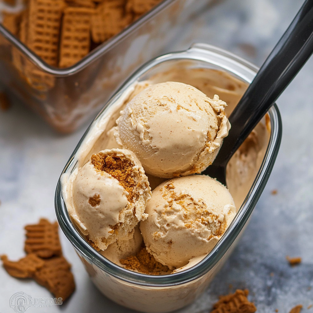 No-Churn Biscoff Ice Cream Recipe